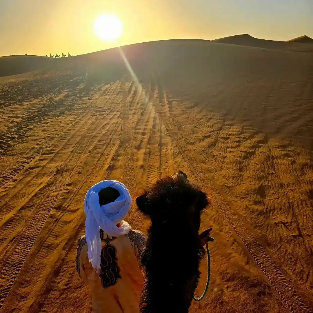 Merzouga, Sahara Desert