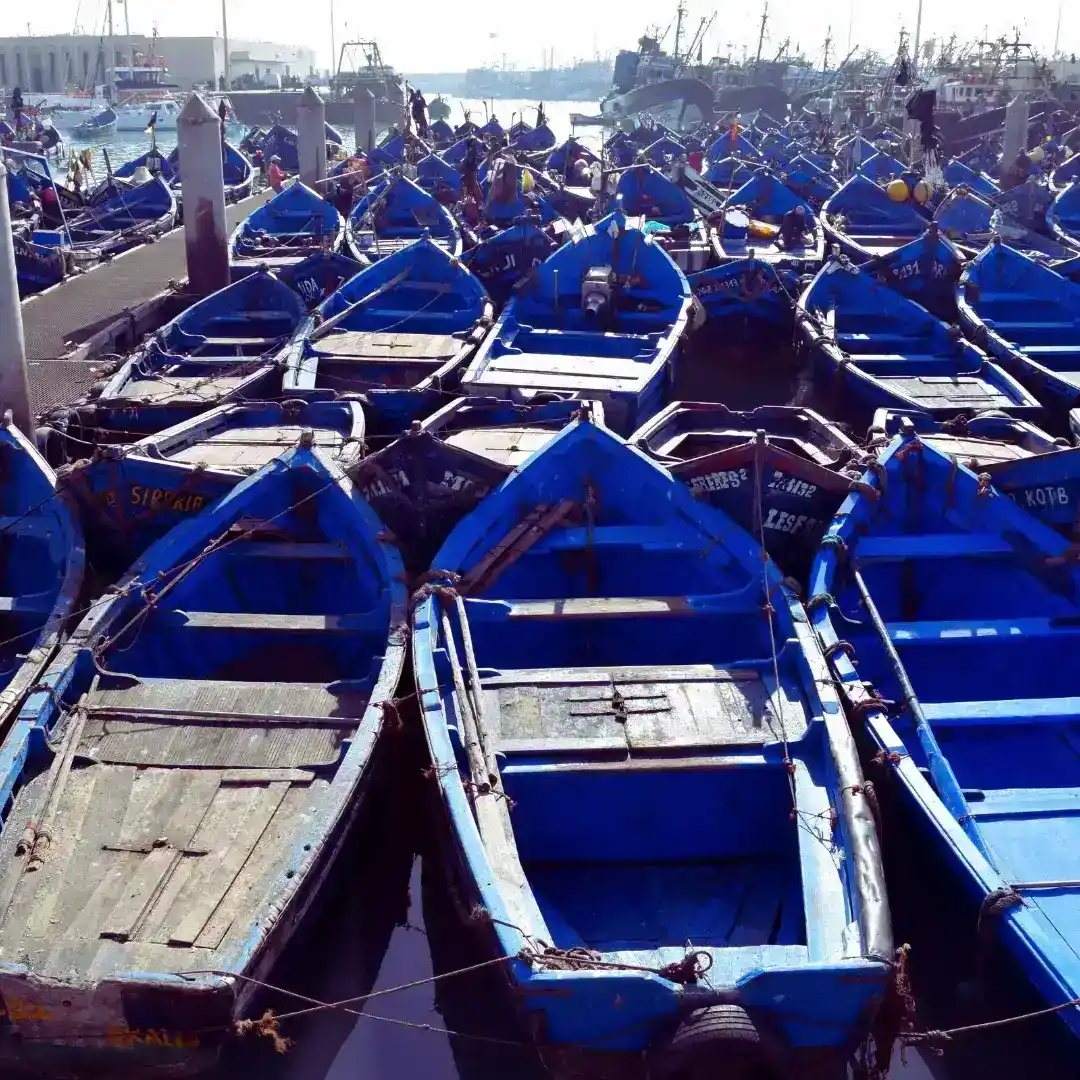 Essaouira blue boats — Marrakech to Essaouira Coastal Escape