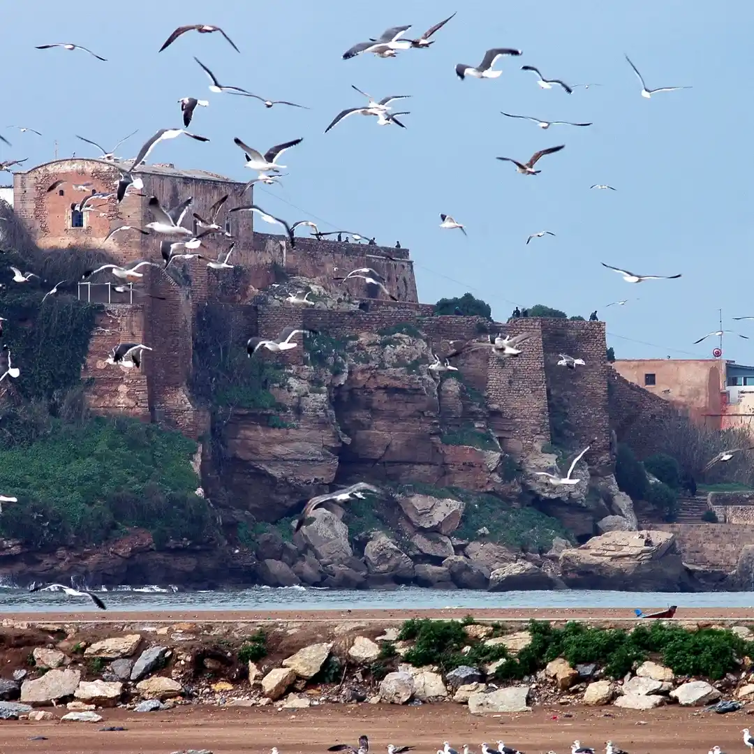 Kasbah des Oudayas, Rabat — Free Things To Do in Rabat