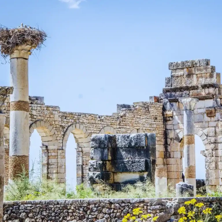 Ancient Roman ruins of Volubilis under a blue sky. Visit Morocco Tours. Visit Morocco Tours