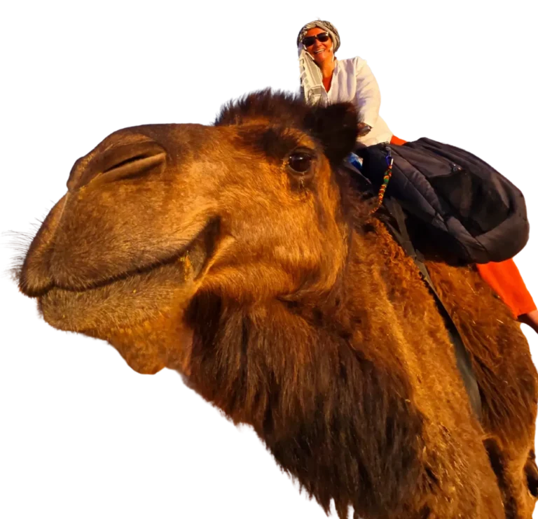 Woman riding a camel in the Sahara Desert at sunset during a Morocco Private Tours. Visit Morocco Tours