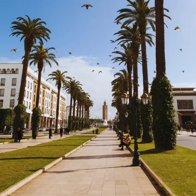 Free things to do in Rabat | Avenue Mohammed V featuring As-Sunna Mosque and administrative buildings. Visit Morocco Tours