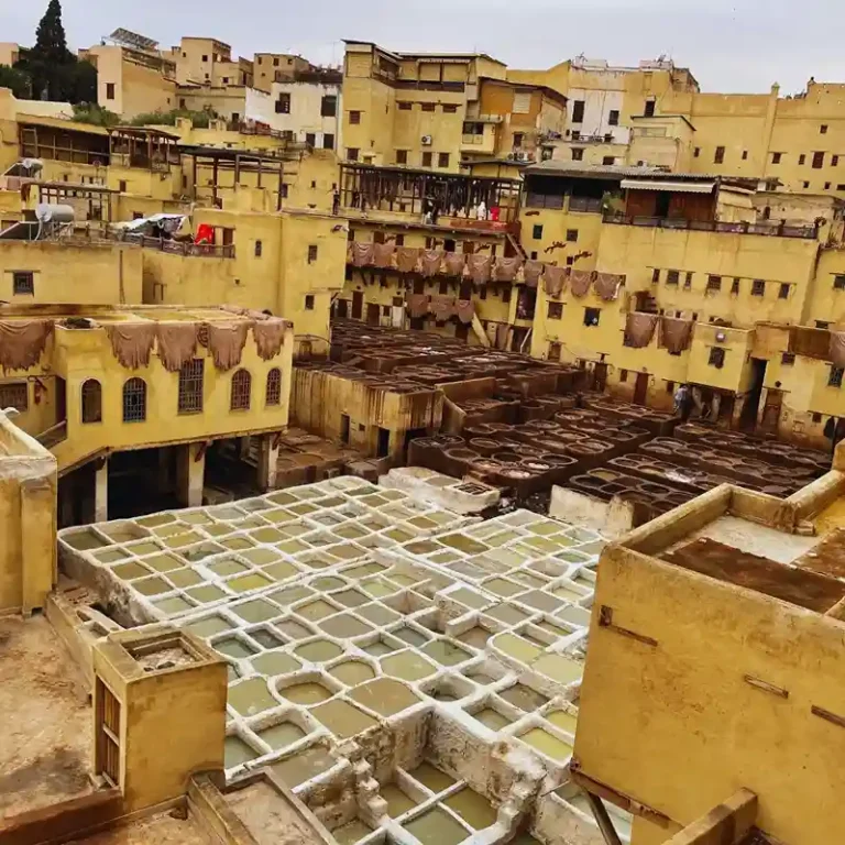 Visit Fez Chouara Tannery on immersive cultural tours. Visit Morocco Tours