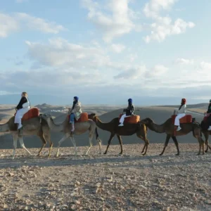 Visit Morocco Tours - Sunset camel caravan with tourists in Agafay stone desert near Marrakech. Visit Morocco Tours