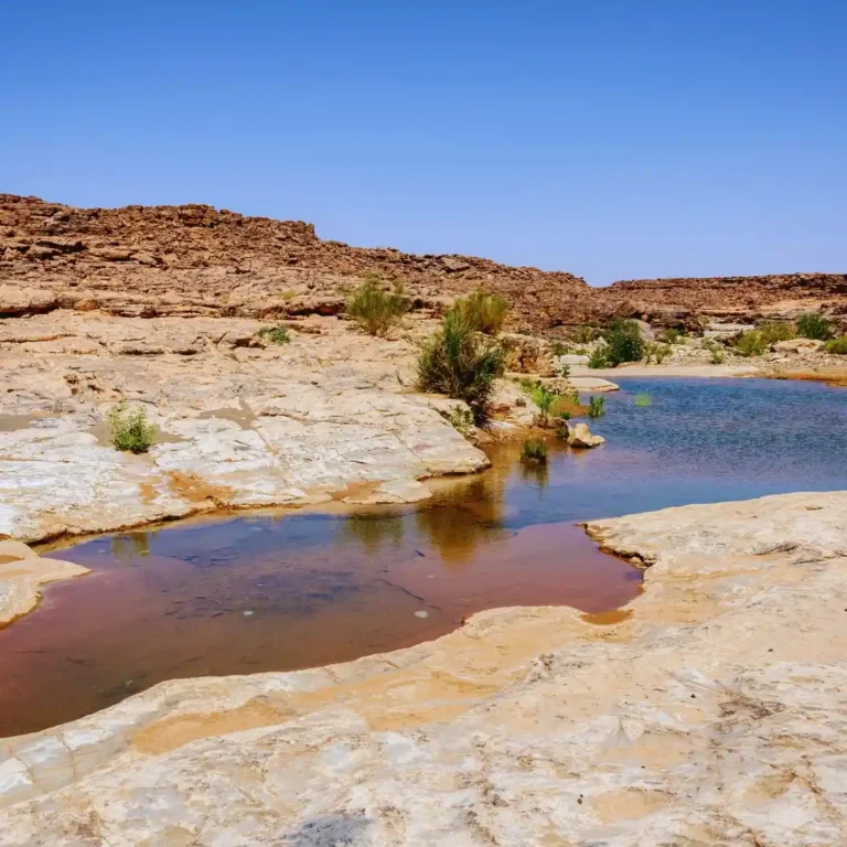 The vast, rocky desert plateau of Hamada du Draa in southern Morocco, a stunning desert landscape on the way to the Sahara. Visit Morocco Tours