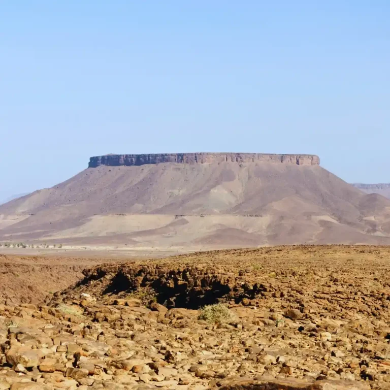 The endless, sun-scorched rocky plains of the Hamada du Draa desert in southern Morocco, under a vast sky. Visit Morocco Tours