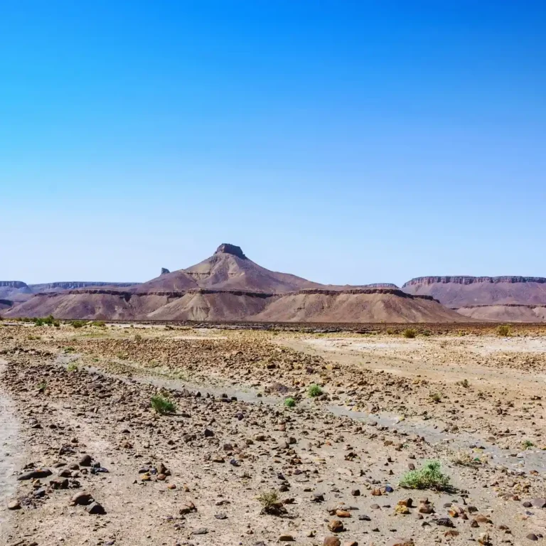 A detailed view of the textured, weathered rocks and arid ground of the Hamada du Draa desert in Morocco. Visit Morocco Tours