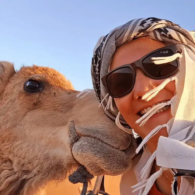 A tourist on a camel trek across the golden sand dunes of Erg Chebbi in the Sahara Desert with Visit Morocco Tours.