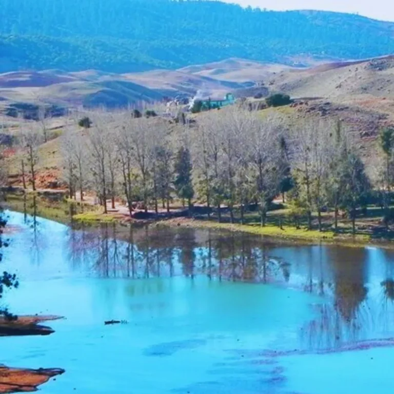 Scenic view of the Middle Atlas Mountains in Morocco showing cedar forests and rolling green hills. Visit Morocco Tours
