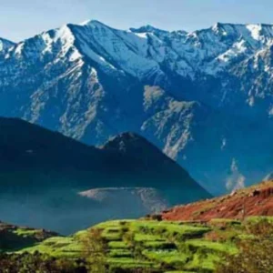 A panoramic view of the lush, forested slopes and valleys of the Middle Atlas Mountains in Morocco. Visit Morocco Tours