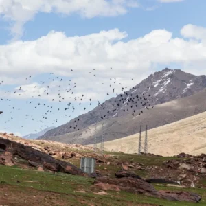 Visit Morocco Tours - Breathtaking panoramic view of the High Atlas Mountains. Visit Morocco Tours