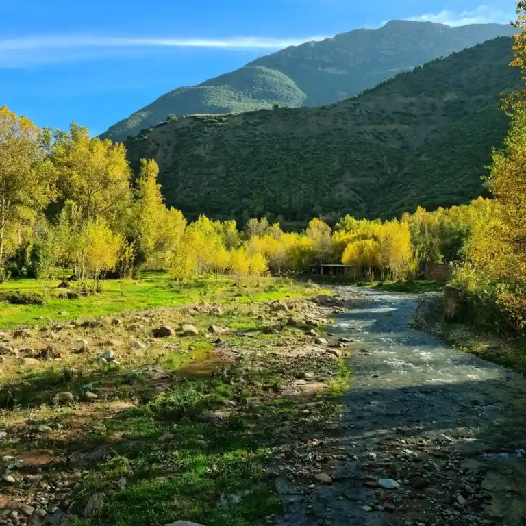 Visit Morocco Tours - Breathtaking view of the Ourika Valley in the Atlas Mountains from our day trip.